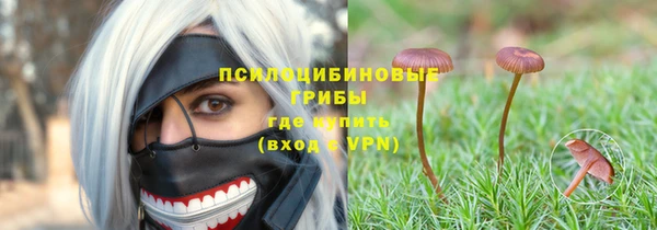 винт Богородицк