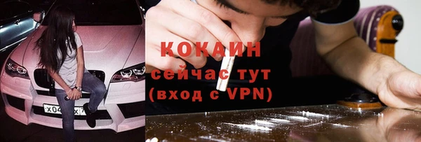 соль ск Богородск