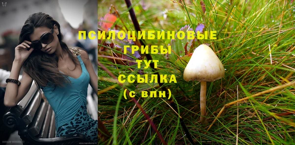 винт Богородицк