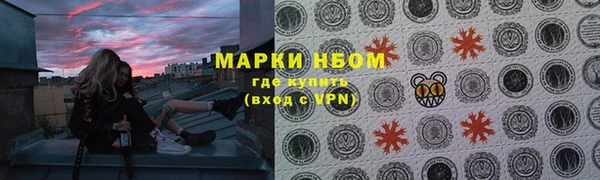 соль ск Богородск