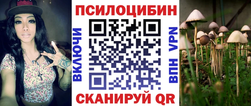 ссылка на мегу ТОР  Бологое  Псилоцибиновые грибы Psilocybe 