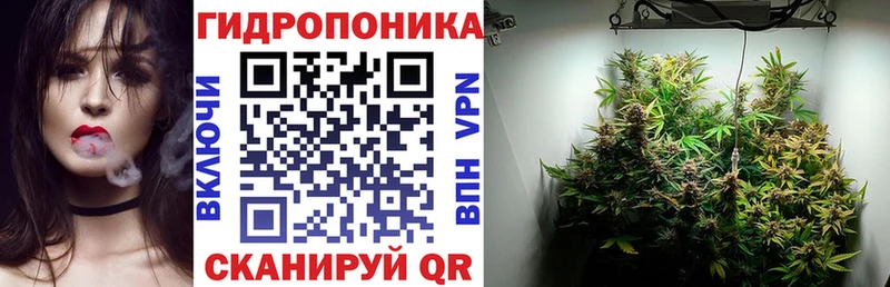 цена наркотик  Бологое  МАРИХУАНА индика 